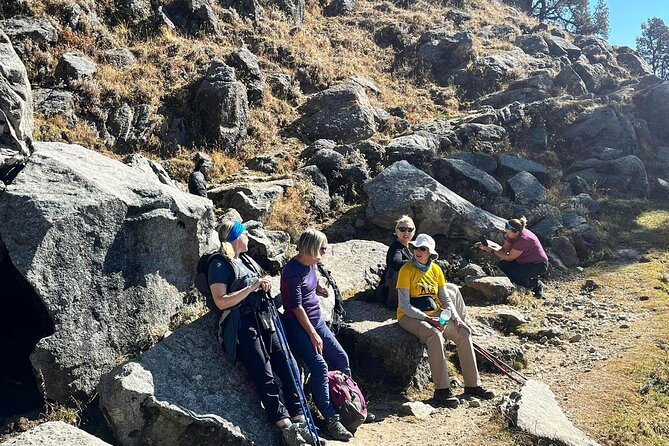 Dalai Lama Himalayan Trek - Triund Hill (Days 6–7): Rhododendron Forests, Magic View Tea, and First Big Peaks