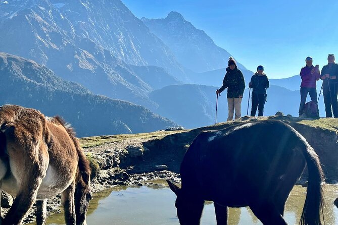Dalai Lama Himalayan Trek - Who This Trek Is For (and Who Should Rethink It)