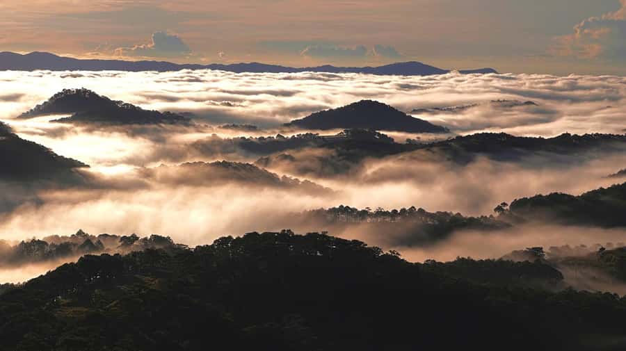 Dalat: Sunrise Trekking and Cloud Hunting experience - Transport and timing: calm logistics, return by late morning
