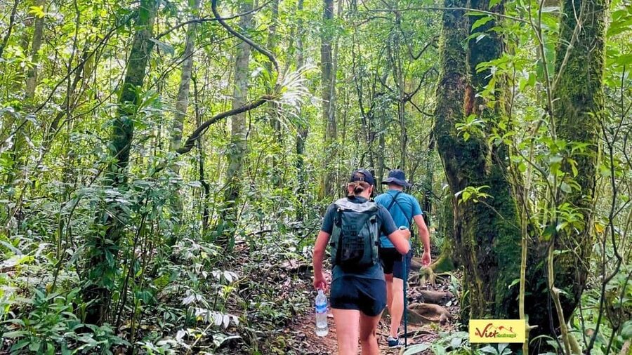 DaLat: Trek on Langbiang Mountain - What to bring, plus the fitness reality check