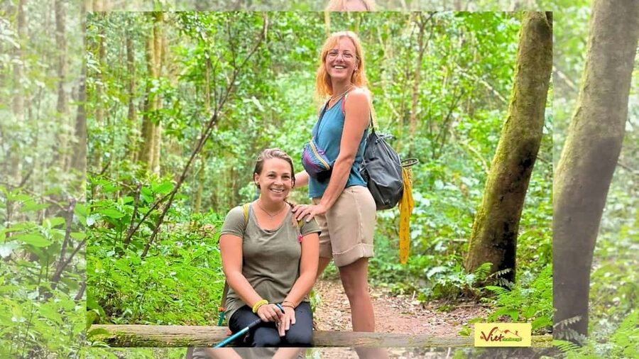 DaLat: Trek on Langbiang Mountain - What the 18km trek feels like: pine forest to broad-leaf jungle