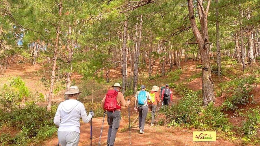 DaLat: Trek on Langbiang Mountain - Guides make the difference: Viet, Fin, and Harry’s safety-first approach