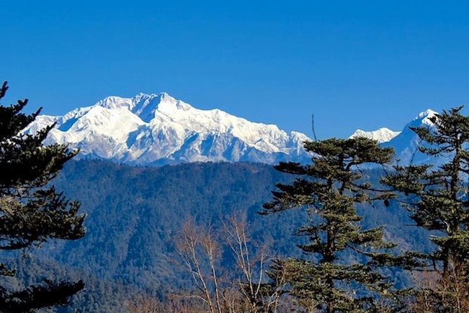 Darjeeling Tonglu Day Trek - Key Things I’d Pay Attention To