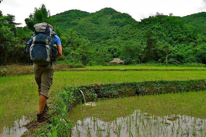Day Trek to Kuangsi Waterfall and Bear Sanctuary - Luang Prabang full day tour - Why Hike Kuang Si Falls Instead of Just Visiting the View