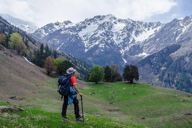Dayara Bugyal and Surya Top Trek - Day 3: Gui to Dayara Bugyal Top and the Surya Top viewpoint push