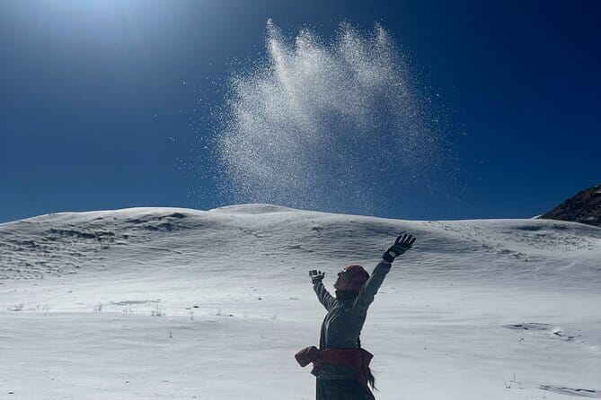 Dayara Bugyal and Surya Top Trek - Day 4: the descent back to Raithal, with time to feel finished