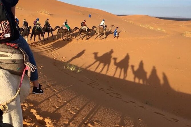 Desert excursion with camel trek into the camp Dinner breakfast - Key things I’d circle on your plan
