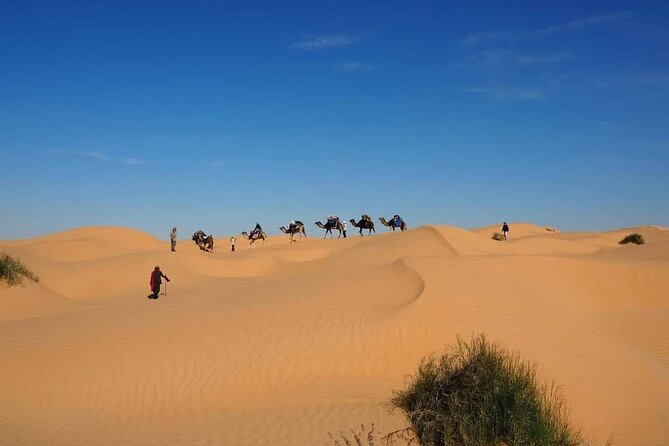 Desert tours and adventurous camel trekking through the Sahara - Camel trekking days in the dunes: what the middle of the route feels like