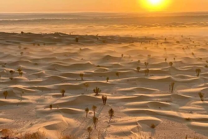 Desert tours and adventurous camel trekking through the Sahara - Bedouin meals and campfire music: the human side of the dunes
