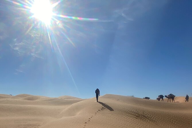 Desert tours and adventurous camel trekking through the Sahara - Getting around and what “private” means in real life
