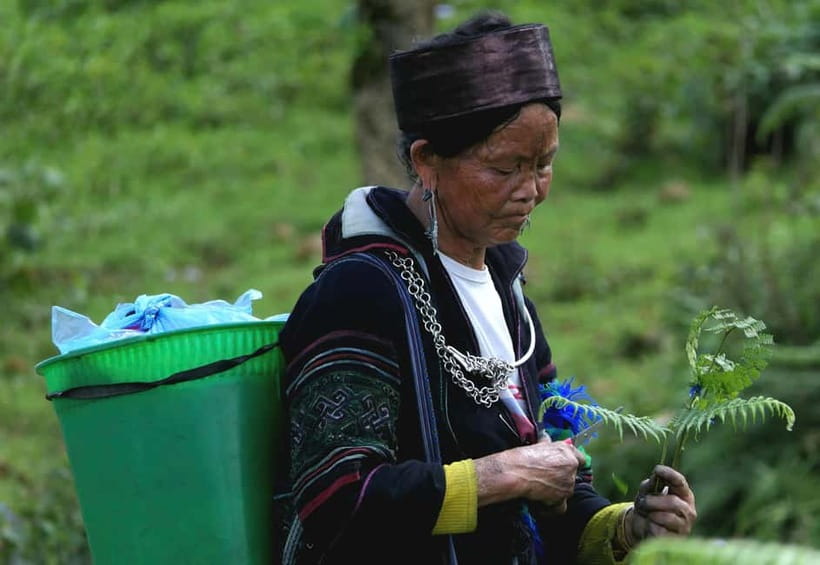 Discover Sapa: 2D1N Trekking Adventure & Cozy LaLa Homestay - Who This Tour Is Best For (and Who Should Think Twice)
