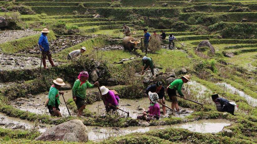 Discover Sapa Trekking with optional Cultural Homestay - Rice Terraces, Villages, and a Day That Actually Feels Local