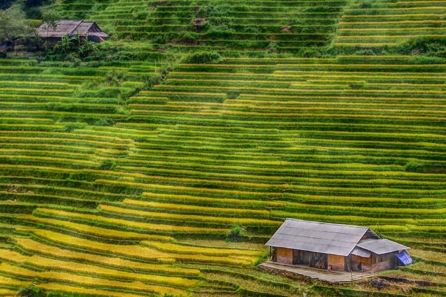 Discover Sapa Trekking with optional Cultural Homestay - Y Linh Ho Village Stop: Photos, Shops, and Village-Path Walking