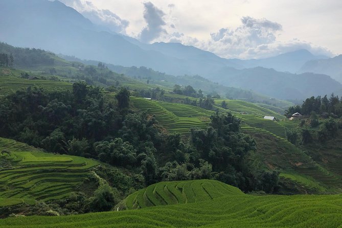 Discover the Beauty of Sa Pa: A One-Day Trek - Why Muong Hoa Valley Villages Make This One-Day Trek Worth It