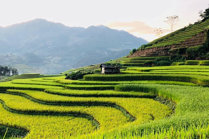 Discover the Beauty of Sa Pa: A One-Day Trek - Stop 1: Y Linh Ho Village and the Peaceful First Walk