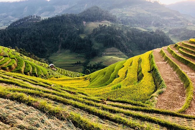 Discover the Beauty of Sa Pa: A One-Day Trek - Stop 2: Lao Chai in the Muong Hoa Valley for Big View Moments