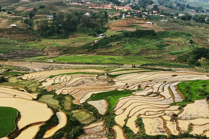 Discover the Beauty of Sa Pa: A One-Day Trek - The Trek Reality: Mud, Fog, and How Guides Handle It