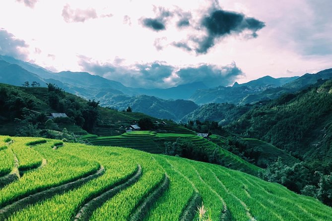 Discover the Beauty of Sa Pa: A One-Day Trek - Lunch, Water, and Entrance Tickets: What You Actually Get for $19