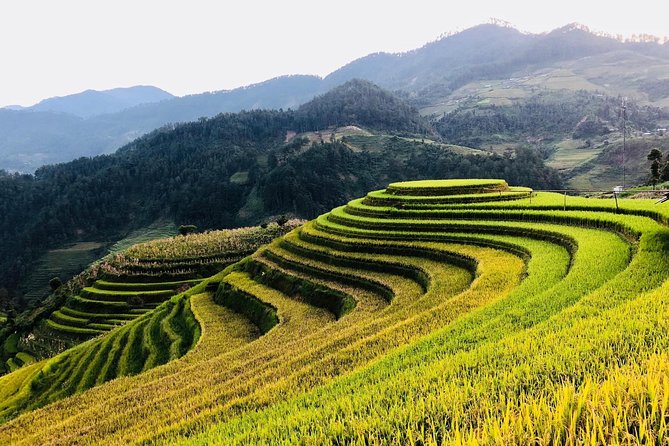 Discover the Beauty of Sa Pa: A One-Day Trek - Guide Quality and Group Size: Better Answers, Less Crowding