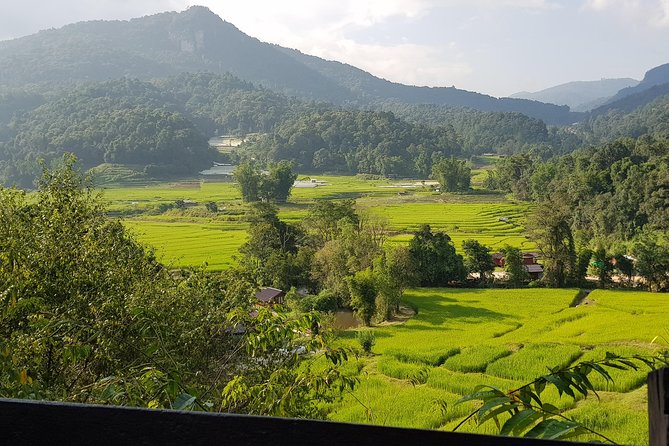 Doi inthanon National Park + 2Hour Fantastic Trekking with Lunch - Karen hill tribe village and the Hmong market: culture with a coffee factor