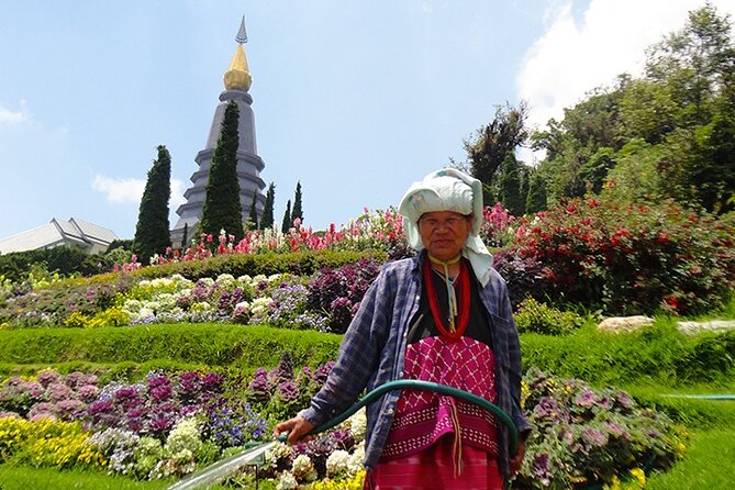 Doi Inthanon Private Trek & Lunch Tour from Chiang Mai - Price and value: what you’re really paying for at $145.91