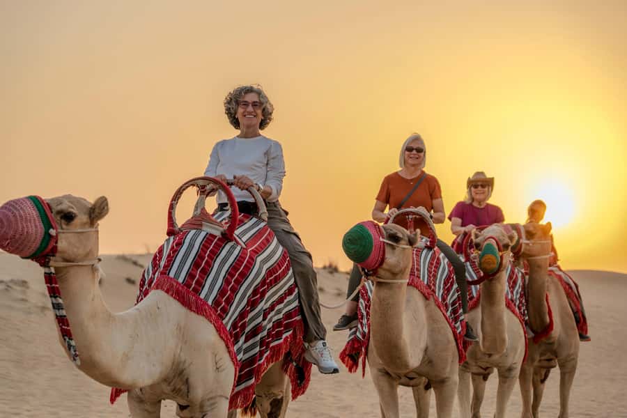 Dubai: Evening Camel Trekking & Dinner at Al Marmoom Oasis - Why Al Marmoom Reserve feels different from the usual Dubai desert night