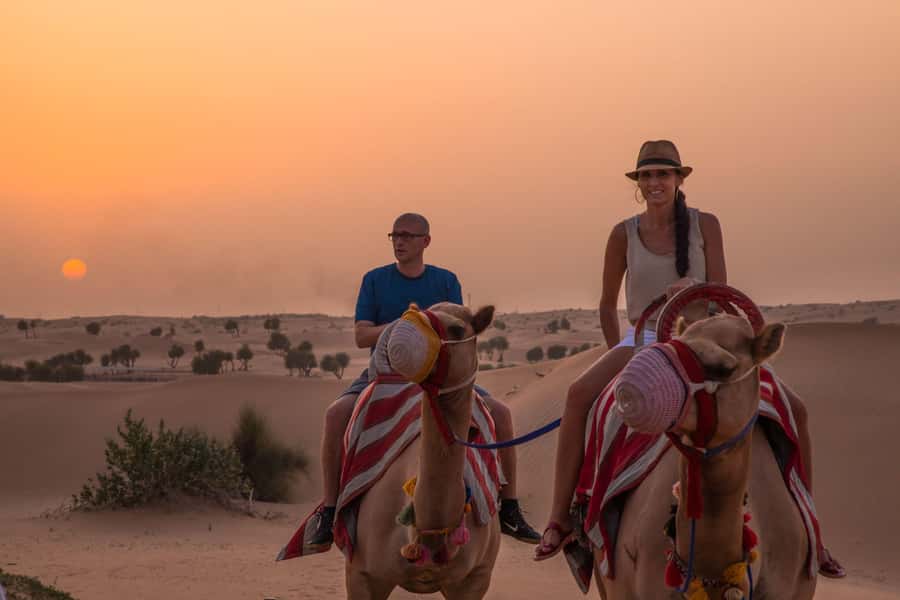 Dubai: Evening Camel Trekking & Dinner at Al Marmoom Oasis - Sunset dinner at the camp: BBQ, entertainment, and falcon photo time