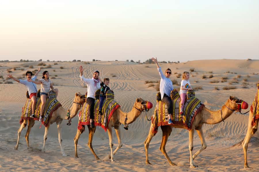 Dubai: Half-Day Camel Trekking with Al Marmoom Breakfast - Breakfast quality and what helps picky eaters