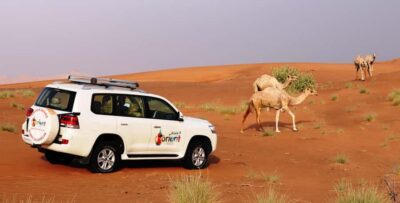 Dubai Sunrise Desert Camel Trek with Breakfast - From hotel pickup to Lahbab Desert in an air-conditioned 4x4