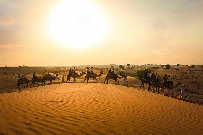 Dubai: Sunset Camel Trek, Al Khayma Camp, Stargazing & BBQ - Key highlights at Al Khayma: what makes this night feel worth it