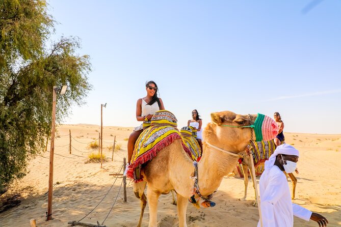 Dubai: Sunset Camel Trek, Al Khayma Camp, Stargazing & BBQ - The 40-minute camel trek: what you’re really signing up for