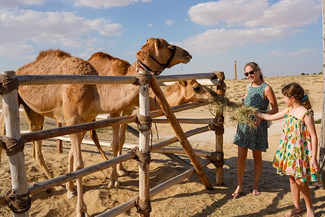 Dubai: Sunset Camel Trek, Al Khayma Camp, Stargazing & BBQ - Stargazing with a telescope: your night-sky reset