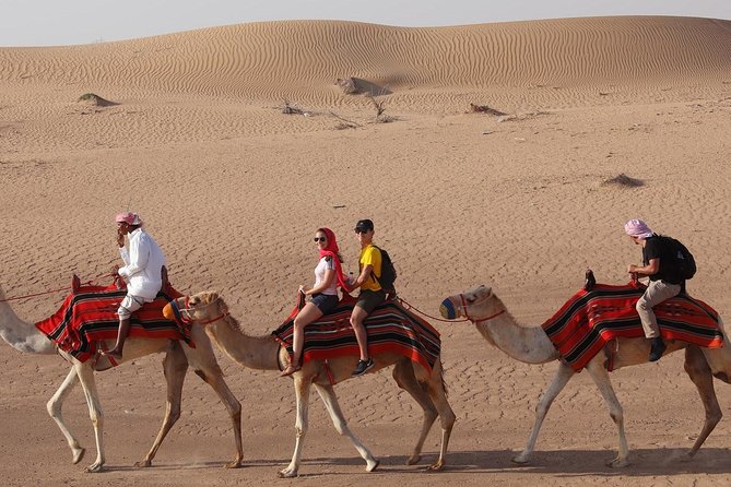 Dubai Sunset Camel Trekking With BBQ Dinner at VIP Camp - Who should book this VIP Camp camel trek (and who shouldn’t)