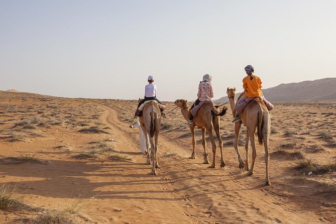 Dubai Sunset Camel Trekking with Shows & BBQ Dinner - The shows: Tanoura, Yola, falconry, plus fire