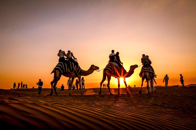 Dubai Sunset Camel Trekking with Shows & BBQ Dinner - Who should book it, and who should skip it