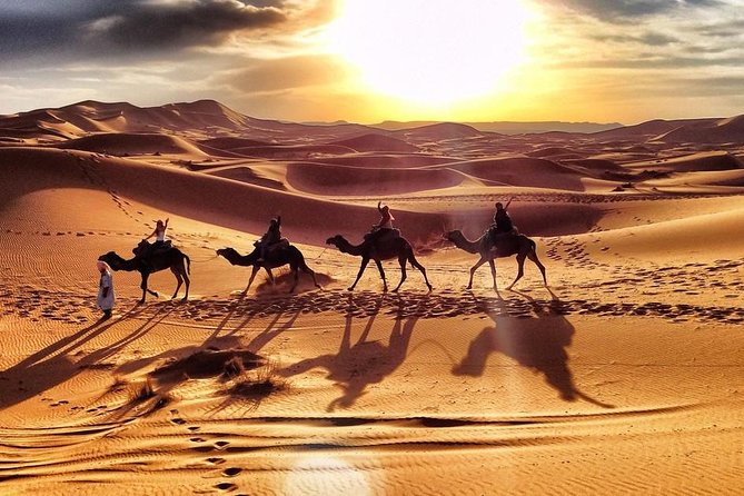 Early Morning Desert Safari With Camel Trekking Experience - Sandboarding in the Red Sand