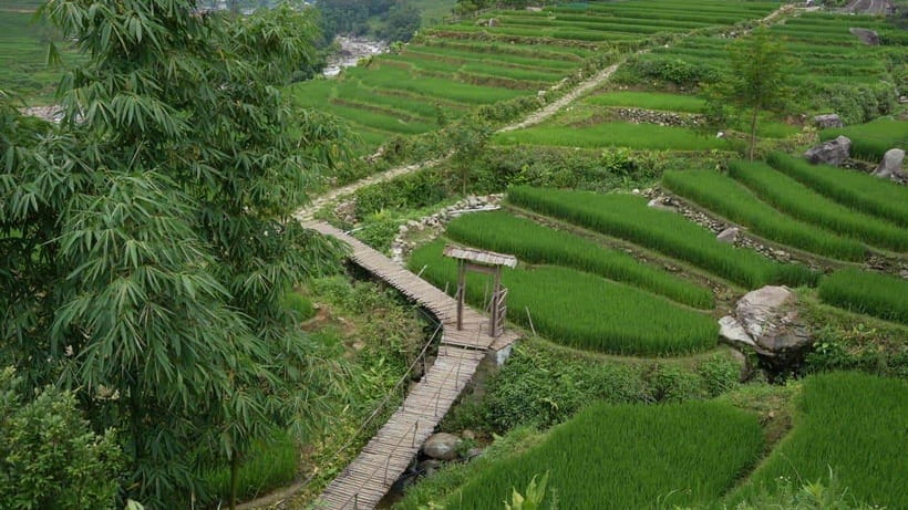 Easy Trek in Sapa mountain : Y Linh Ho - Lao Chai - Ta Van - Key takeaways before you go