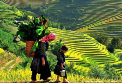Easy Trek in Sapa mountain : Y Linh Ho - Lao Chai - Ta Van - Meeting in Sapa, then heading toward Cat Gat’s road