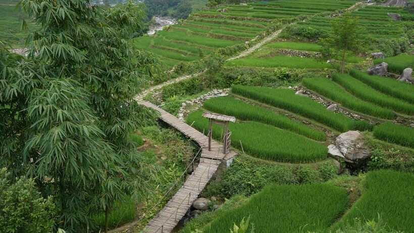 Easy Trek in Sapa mountain : Y Linh Ho - Lao Chai - Ta Van - Price and value: why $20 can make sense here