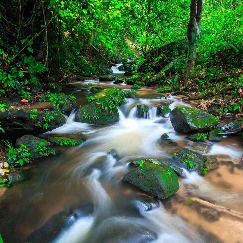 Eco-Friendly: Doi Inthanon & Pha Dok Siew Trekking Day Trip - Key points to know