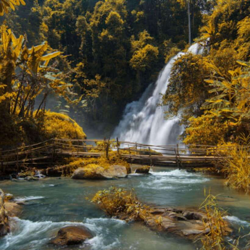 Eco-Friendly: Doi Inthanon & Pha Dok Siew Trekking Day Trip - Doi Inthanon: why this day trip feels worth the drive
