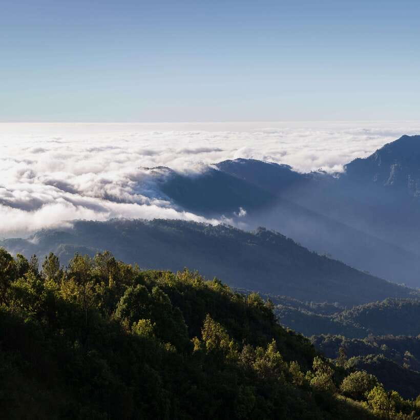 Eco-Friendly: Doi Inthanon & Pha Dok Siew Trekking Day Trip - Pha Dok Siew nature trail: a 2-hour trek with calm, forest-focused payoff