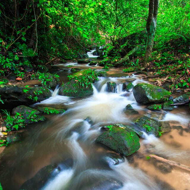 Eco-Friendly: Doi Inthanon & Pha Dok Siew Trekking Day Trip - Wachirathan Waterfall: the cooling finale that deserves your attention