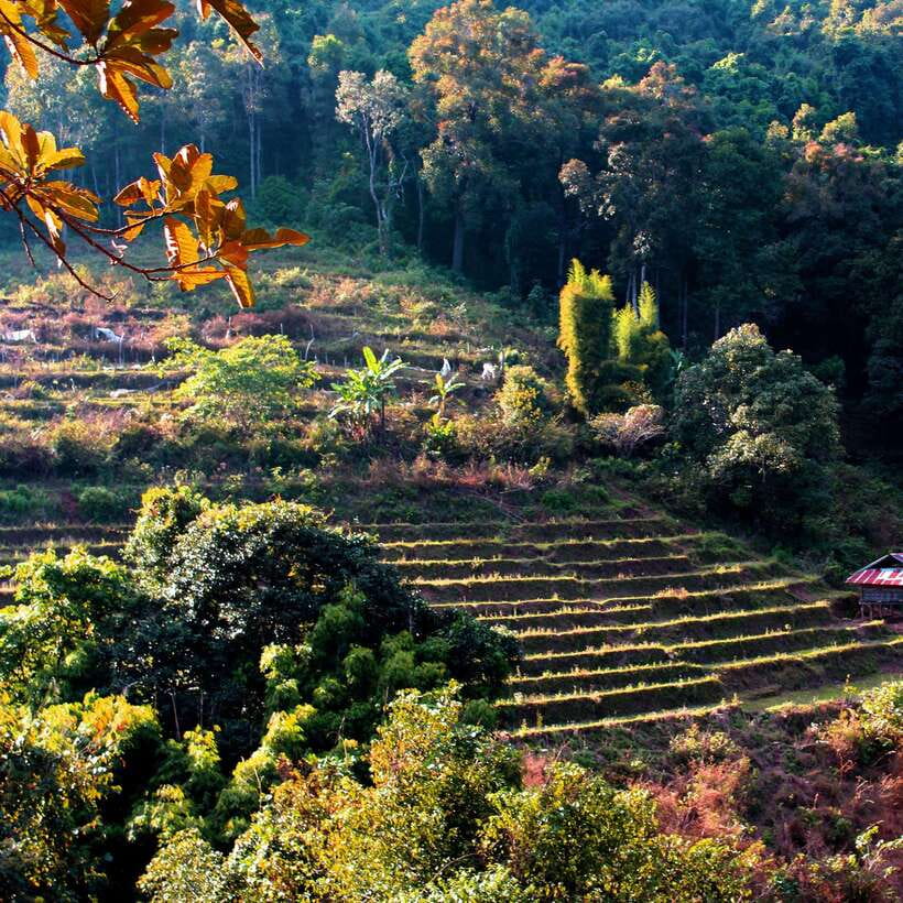 Eco-Friendly: Doi Inthanon & Pha Dok Siew Trekking Day Trip - The morning van ride from Chiang Mai sets the tone