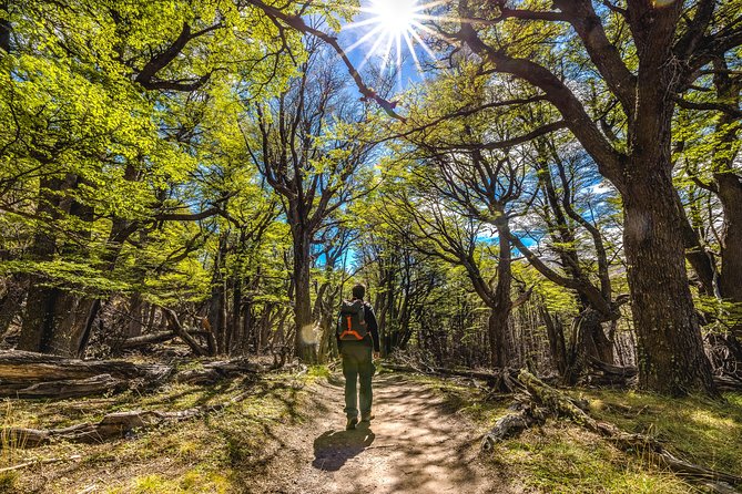El Chaltén with Trekking from El Calafate - El Chaltén Arrival and the 5-Hour Reality Check