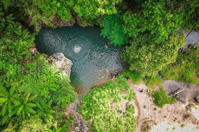 Elephant cave and Mada valley Jungle trek - 1Day - Key things I’d watch for before you go