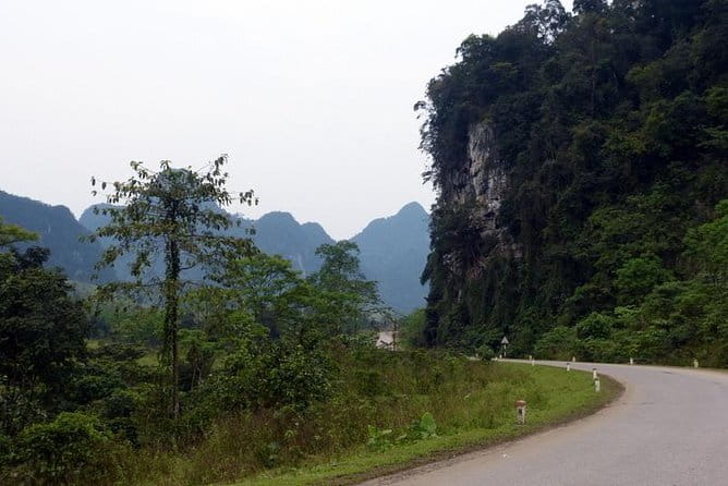 Elephant cave and Mada valley Jungle trek - 1Day - The 9km trek and what “moderate” feels like in real life