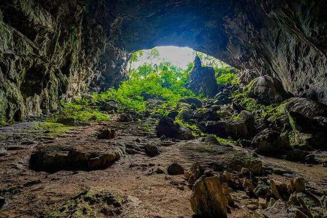 Elephant cave and Mada valley Jungle trek - 1Day - Elephant Cave: the first hour that sets the tone