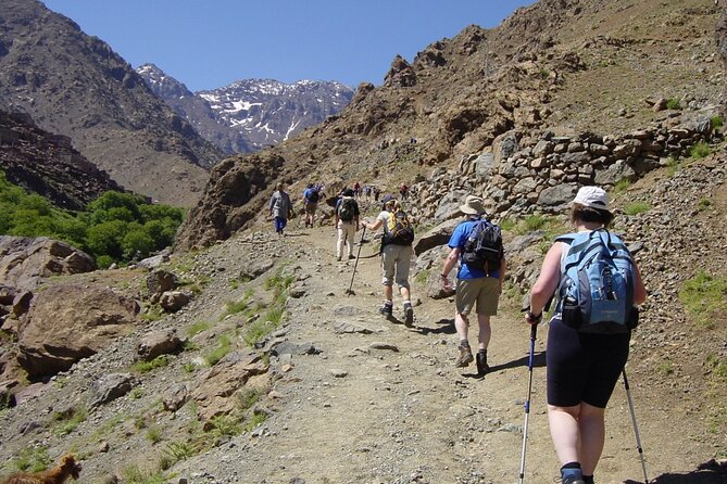 Elite Experience Atlas Mountains Day Trekking - The big picture: what this Atlas day trek actually feels like