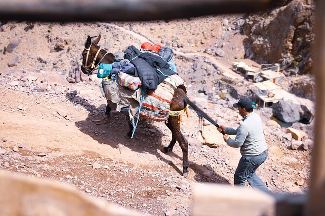 Elite Experience Atlas Mountains Day Trekking - From Imlil to Tizi n’Tamatert pass: Berber villages, gradual focus